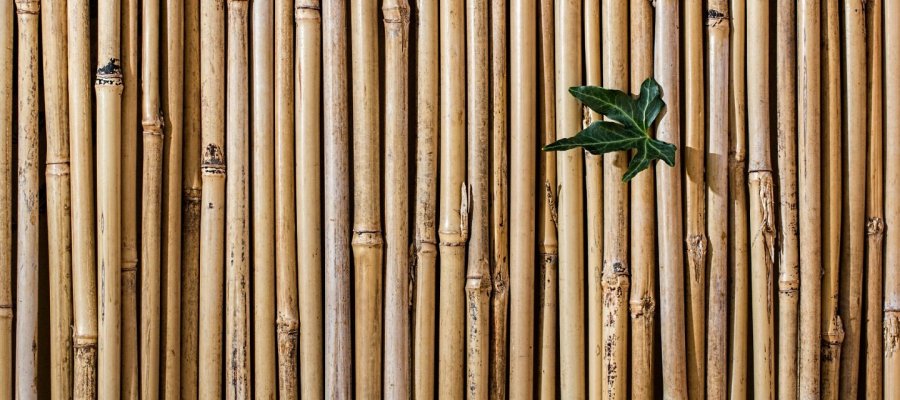 podlaha z bambusového dřeva
