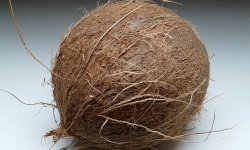 Izolace pomocí kokosového vlákna