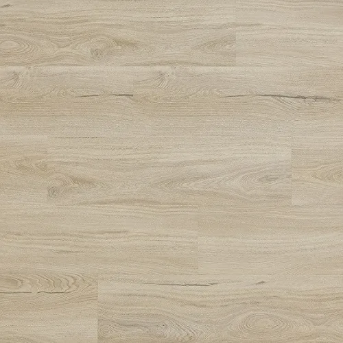 Arbiton Woodric Eir Acoustic Dub Salerno CWSA 209