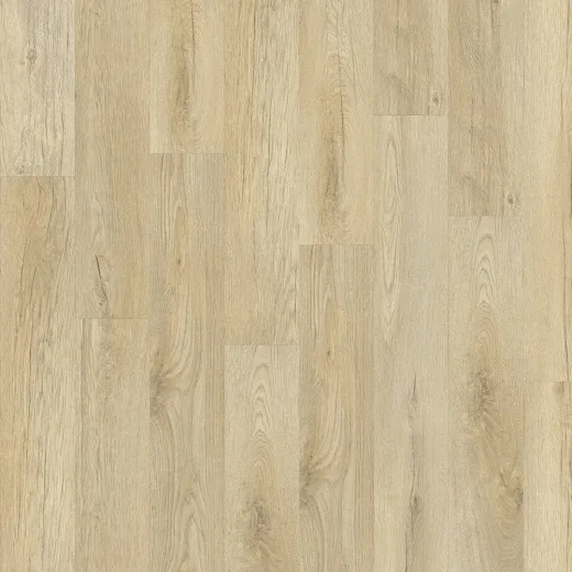 Articon C40 Rigid Acoustic Stellata Oak 89220