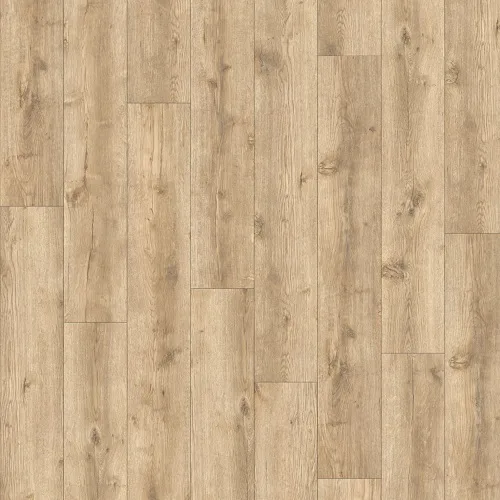AVVIO - Major Oak 24279