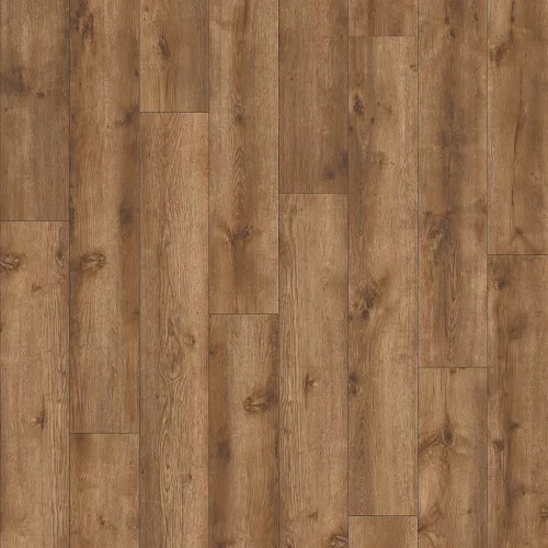 AVVIO - Major Oak 24847