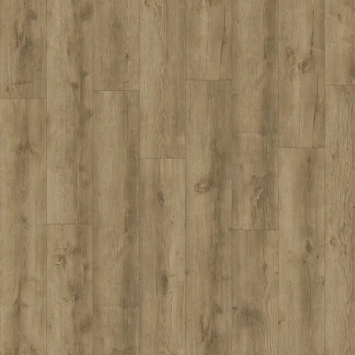 AVVIO - Major Oak 24863