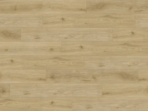 Experto LVT 55 Dub Clara 1028L-04