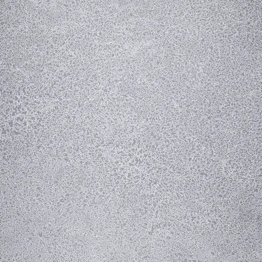 Fatra Novoflor Extra Sparkle 2440-58