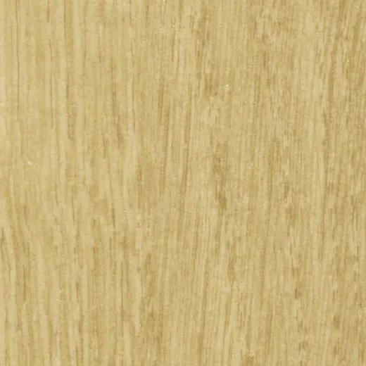 Gerflor Taralay Initial Compact Renzo Chamois 0024