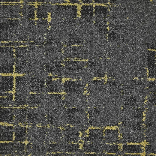 Macro 95