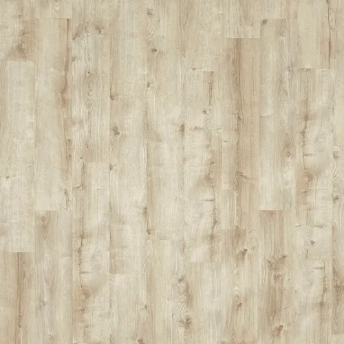 Moduleo ROOTS 55 EIR Galway Oak 87269